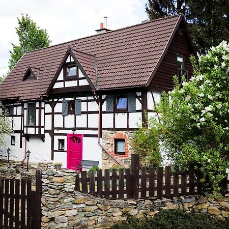 Vila Za Rozowymi Drzwiami Jelení Hora Exteriér fotografie
